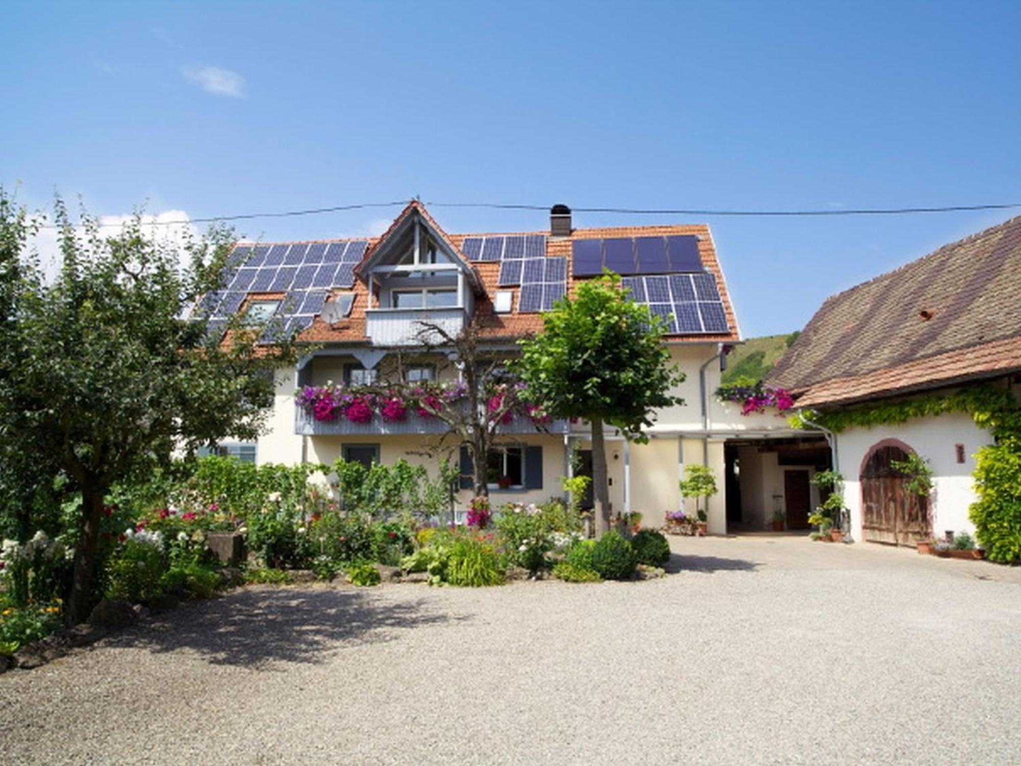 Winzerhof Bitzenhofer Apartamento Vogtsburg Exterior foto